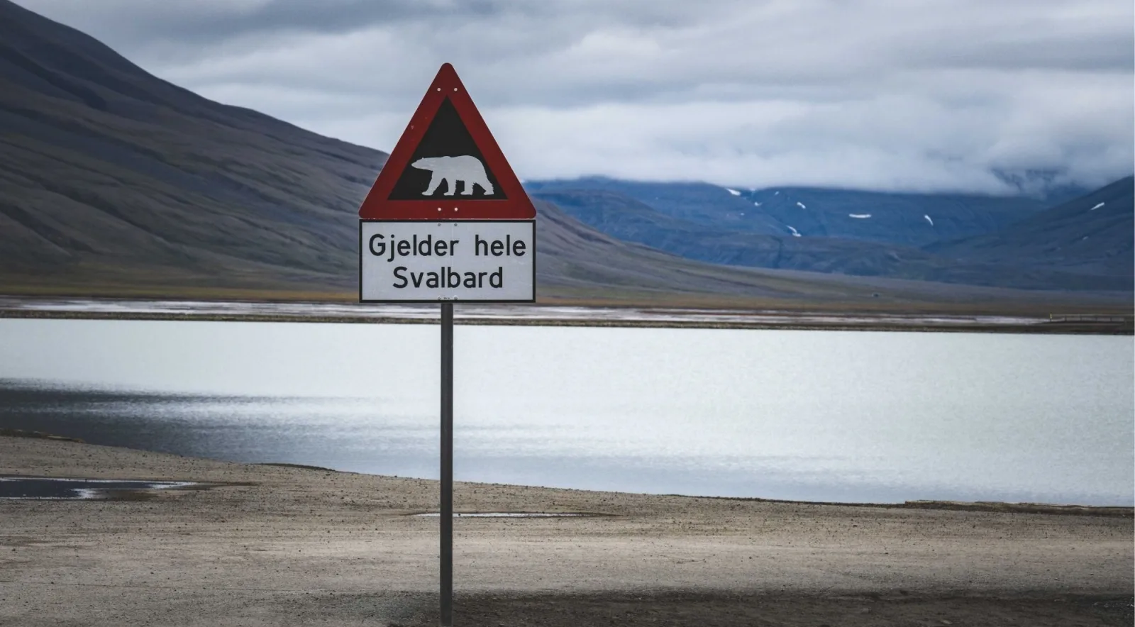 Norwegian polar bear warning sign reading Gjelder hele Svalbard beside a coastal lagoon