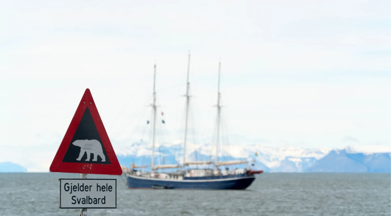 Polar bear warning sign in the foreground with a three-masted sailing ship on the fjord behind